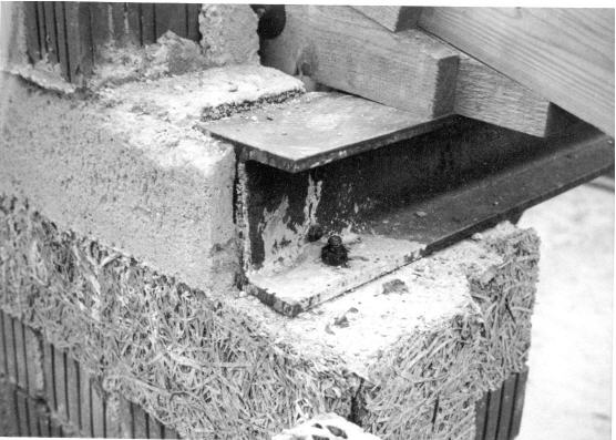 27a Binderkopf - Trägerkopf am Maueraufleger.jpg